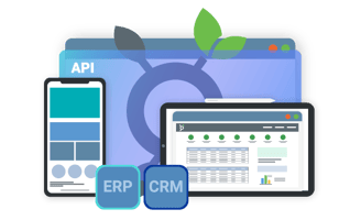 b2b-ecommerce-transparent-graphics_api-first-architecture